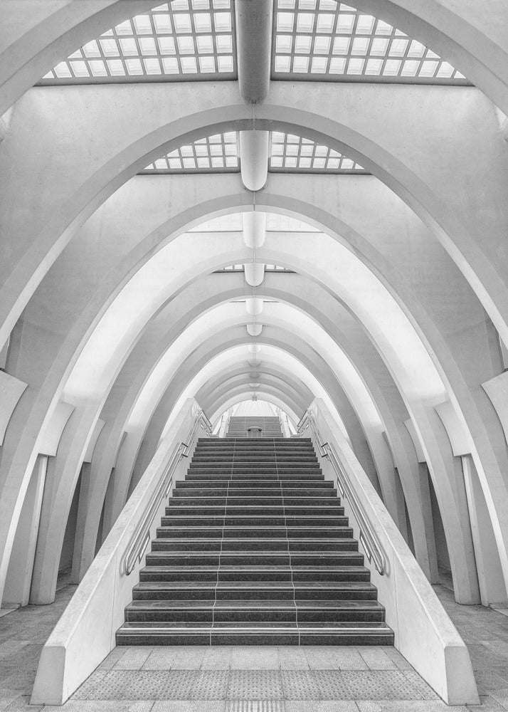 Calatrava lines | Poster