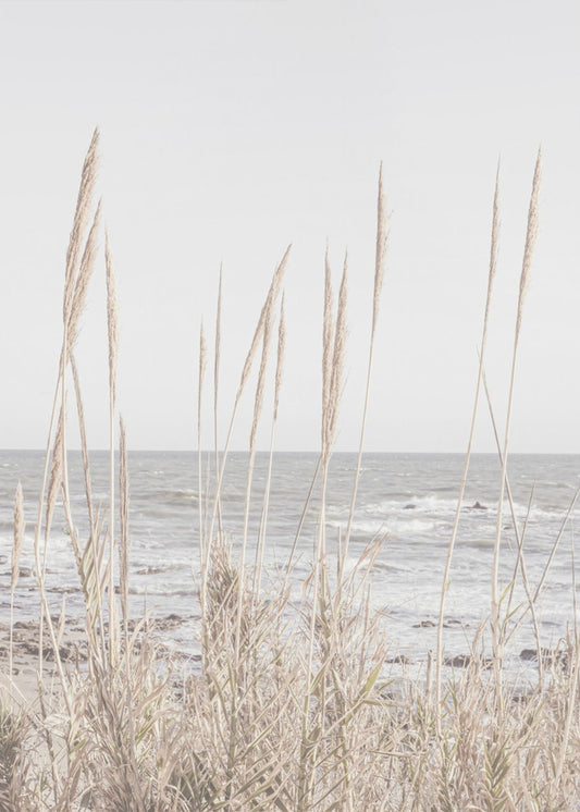 Strand_Vass_001 | Canvas