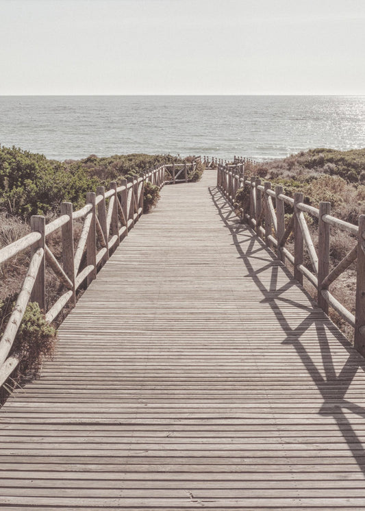 Strand_003 | Canvas