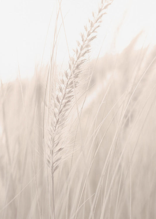 Gras_001 | Canvas