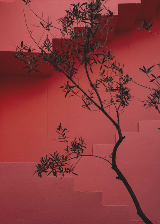 Muurschildering Rood #14 | Canvas