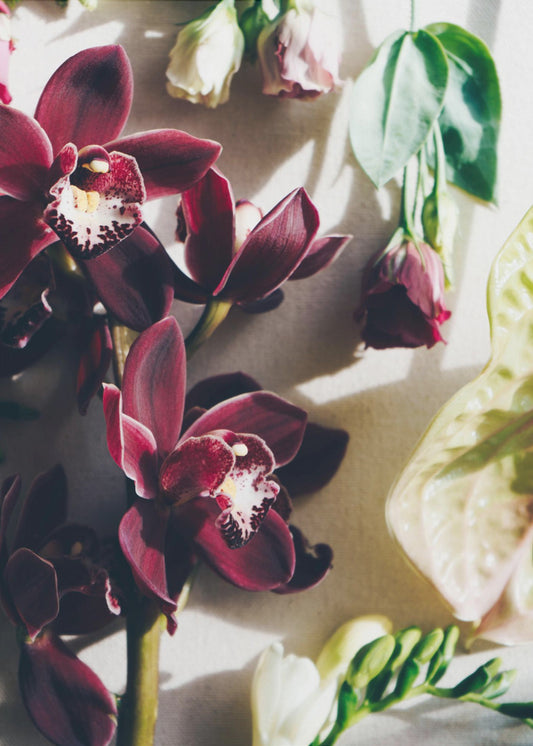 Orchideeën Elegantie | Canvas