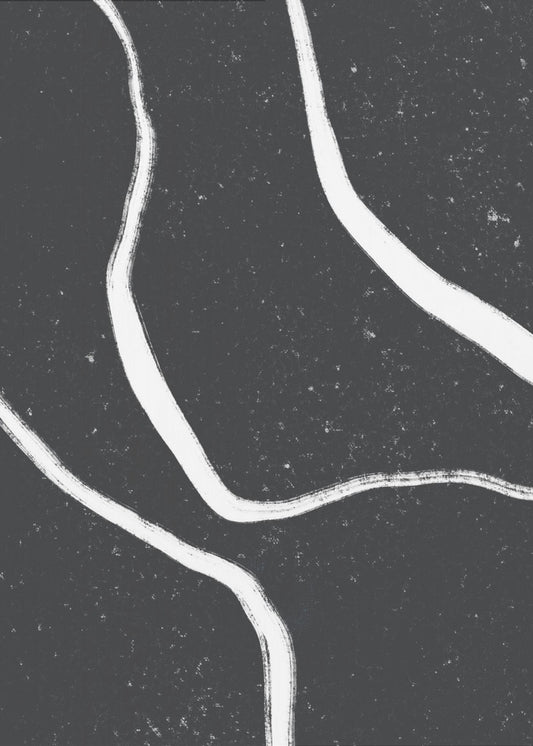 Monochrome Paths | Poster