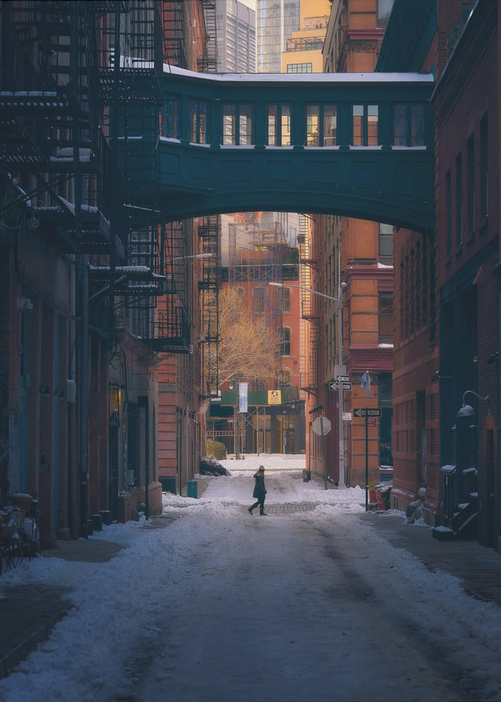 Onder de Skybridge | Poster