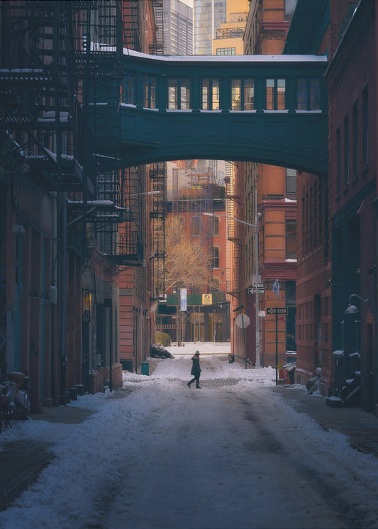 Onder de Skybridge | Canvas
