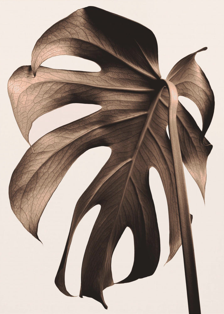 Monstera Goud | Canvas