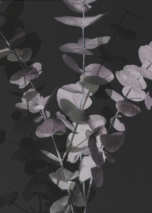 Eucalyptus_Negatief_001 | Canvas