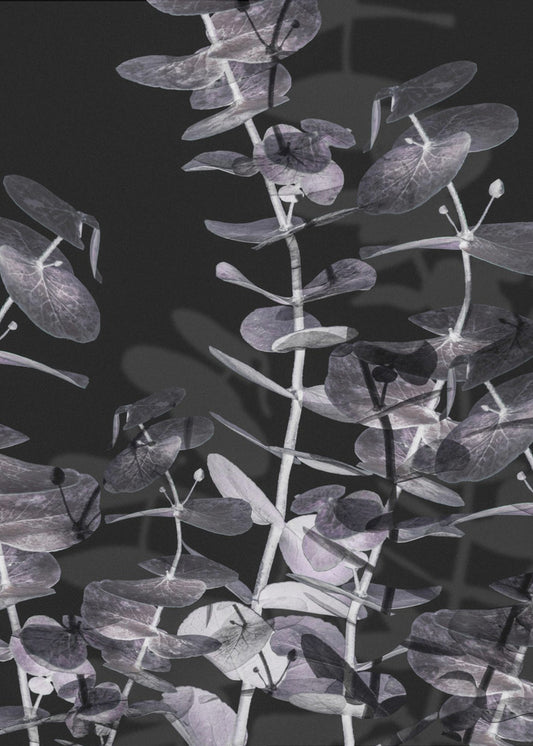 Eucalyptus_Negatief_002 | Canvas