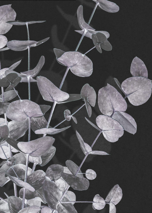 Eucalyptus_Negatief_003 | Canvas
