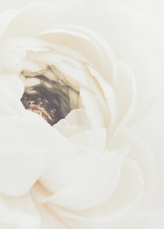 Witte Bloem 01 | Canvas