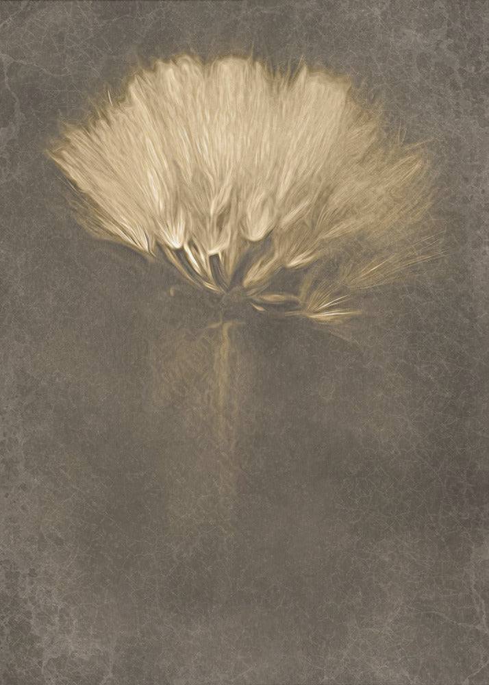 Mysterieuze dagen | Poster