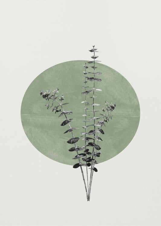 Echo van de natuur | Canvas