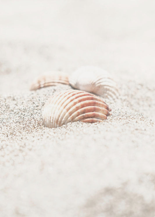 Strand_013 | Canvas