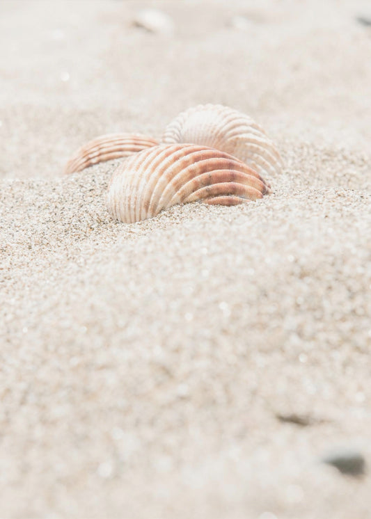 Strand_014 | Canvas