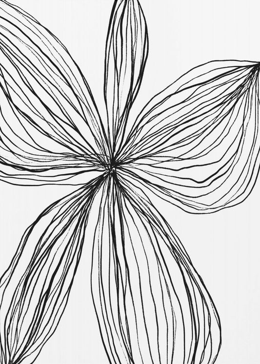 Minimalistische zwart-witte bloemblaadjes | Canvas