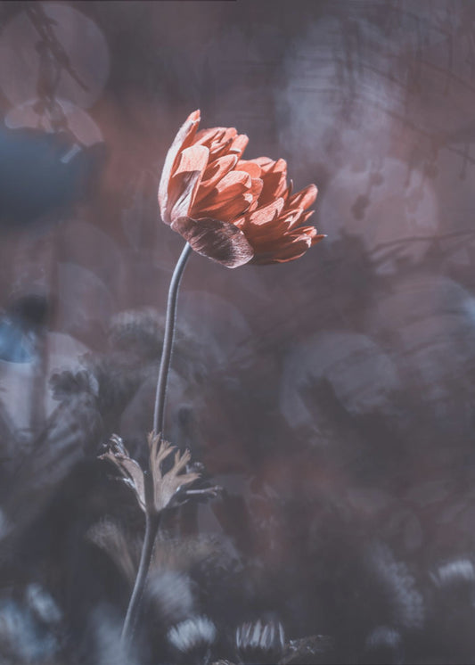Elegantie | Canvas