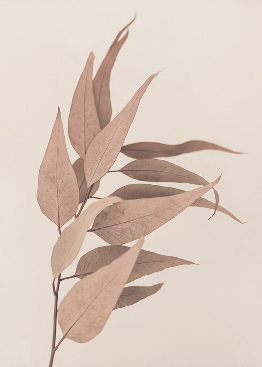 Gedroogde eucalyptus | Canvas