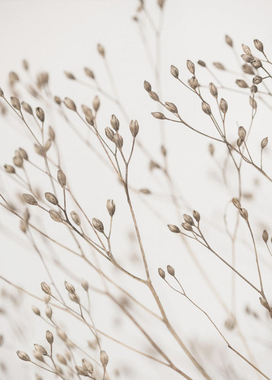 Wild Gras | Canvas