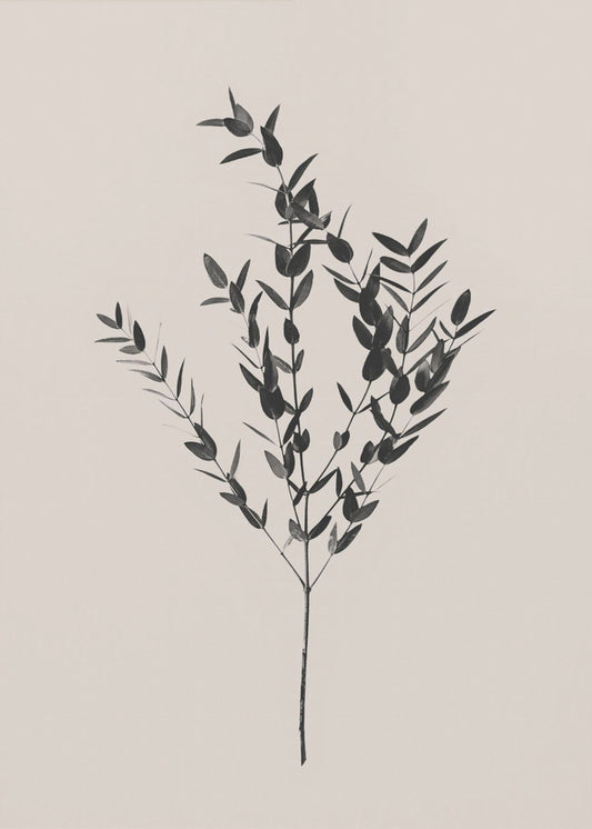 Inky Botanical | Canvas