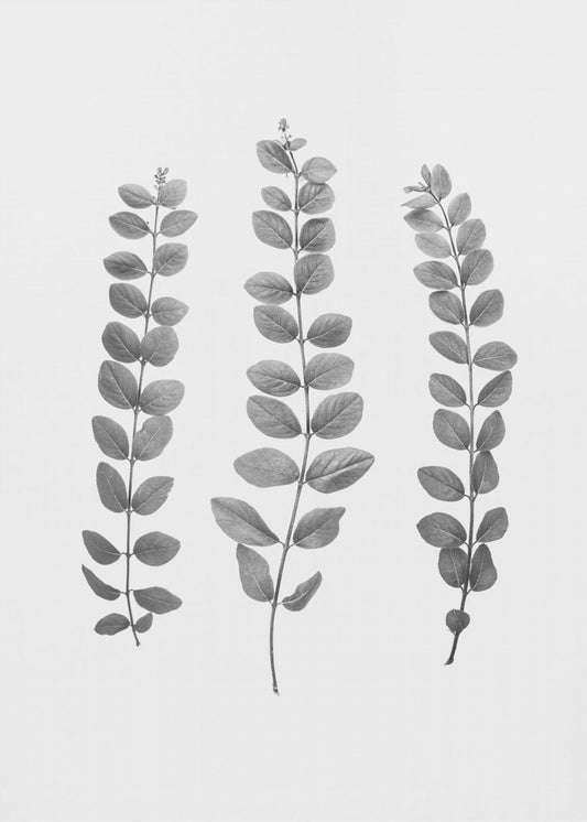 Twijgen | Canvas
