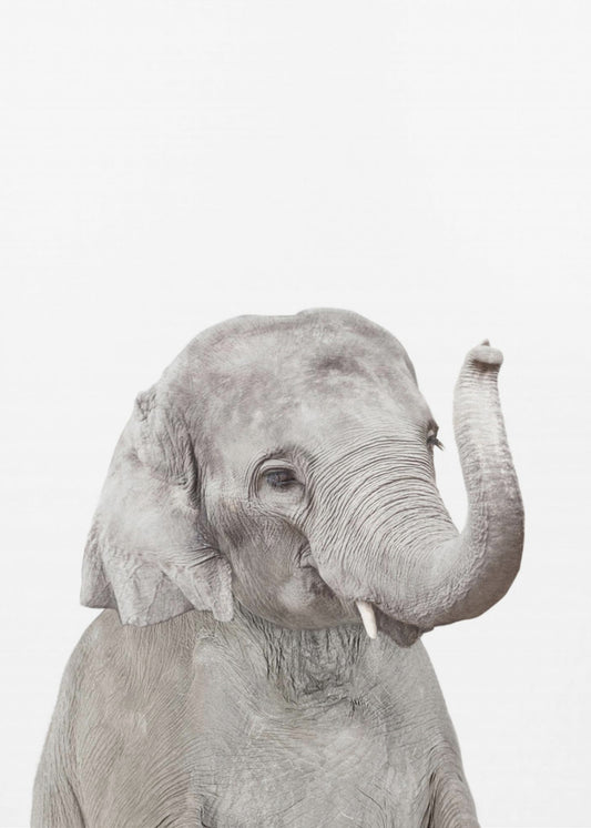 Baby Olifant | Canvas