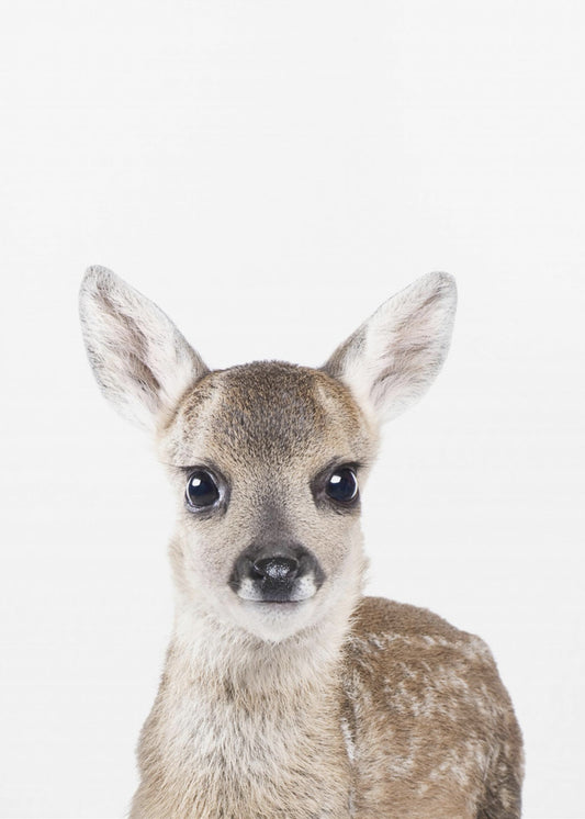 Babyhert | Poster