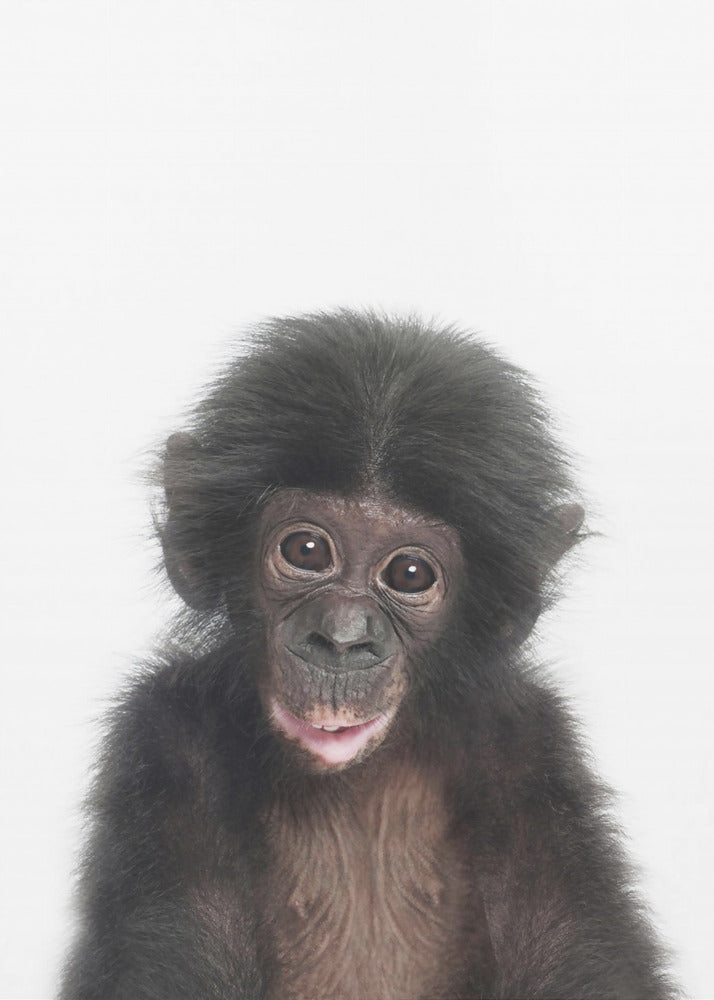 Baby Aap | Canvas