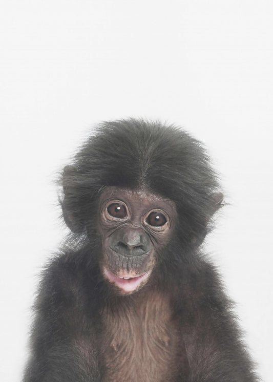 Baby Aap | Canvas