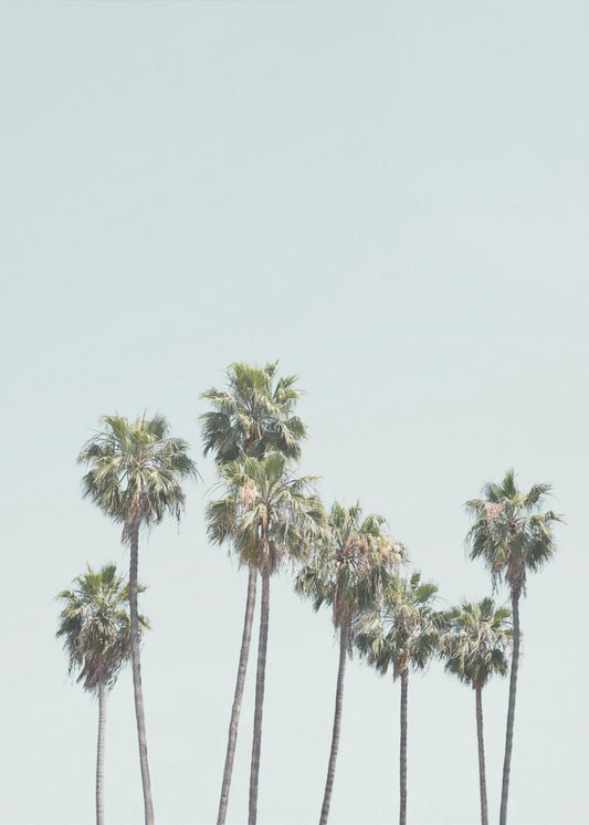 Blauwe palmbomen | Canvas