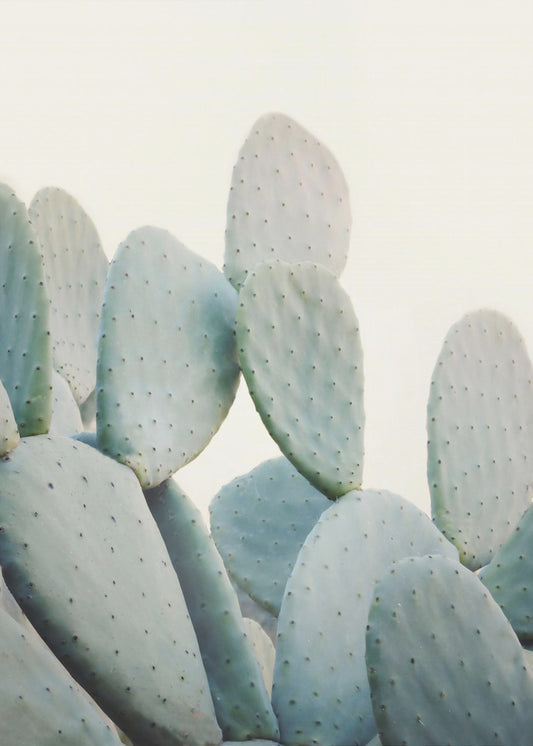 Pastel Cactussen | Canvas