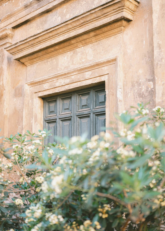 Botanische Trastevere Rome | Poster