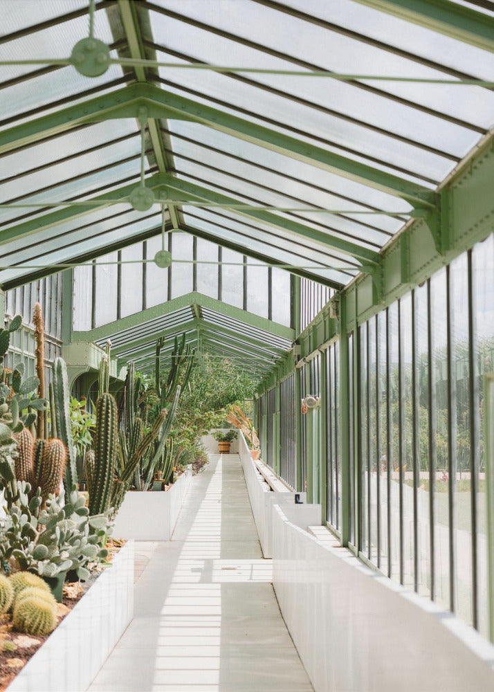 Botanische tuin van Parijs | Canvas
