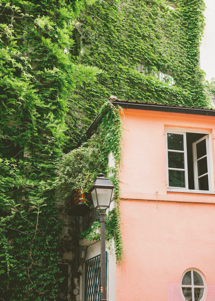 Groen en roze || Montmartre Parijs | Canvas