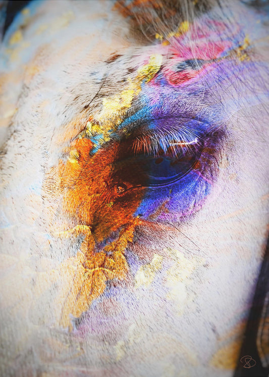 Geschilderd paard | Canvas