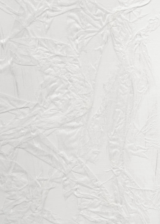 Wit canvas dat lijkt op gekreukt papier | Canvas