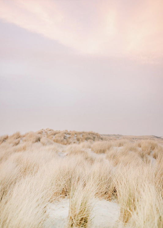Amelander Duinen 2 | Canvas
