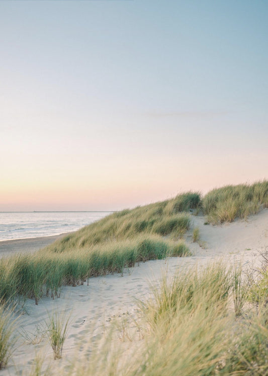 Nederlandse Duinen | Canvas