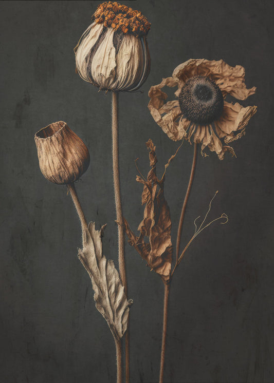 Withered Elegance | Poster