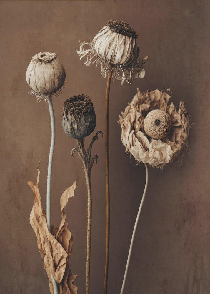 Vervaagde elegantie | Canvas