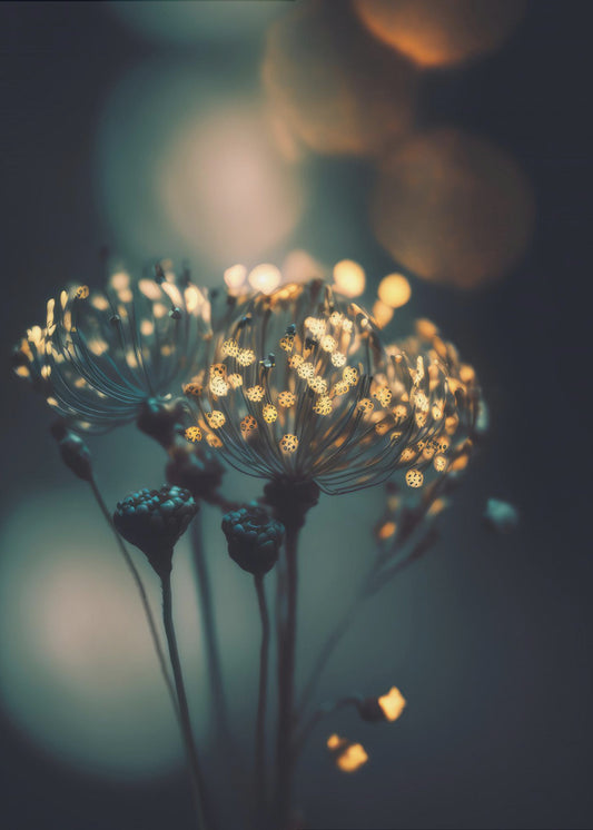 Betoverde Bloesems | Poster