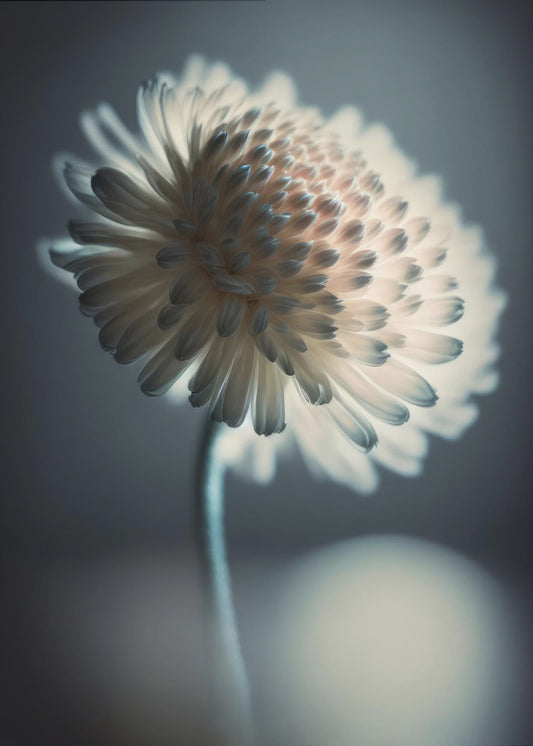 Lichtgevende Bloesem | Poster