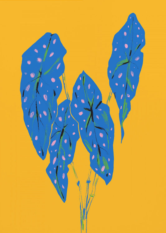 Begonia Maculata Blauw en Geel | Canvas