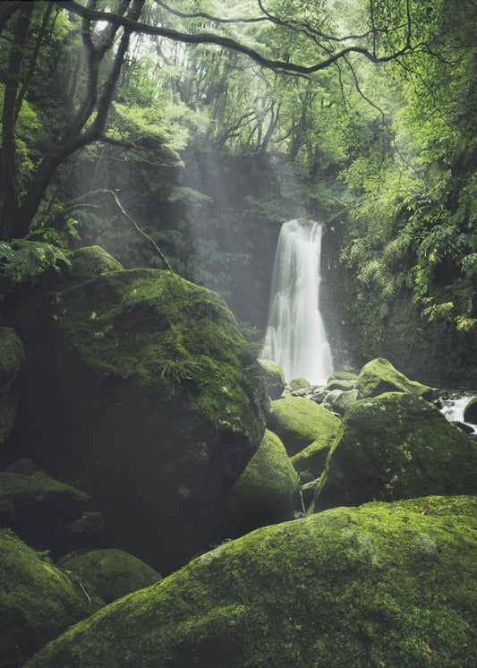 Mystic Falls | Canvas