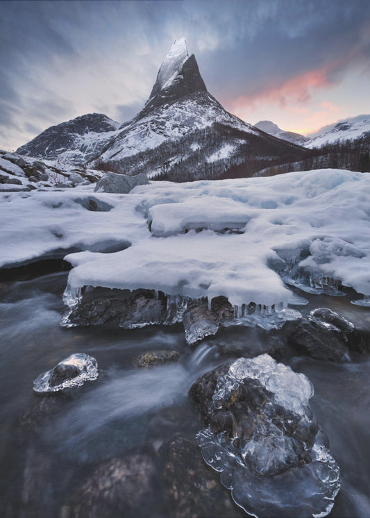 Icy Coronation | Canvas