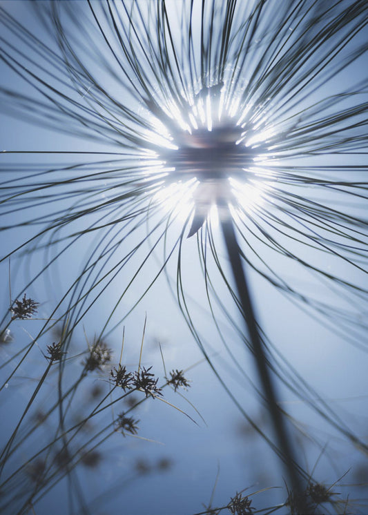 Botanisch Blauw | Canvas