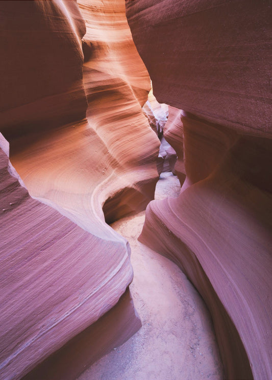 Paarse Canyon | Poster