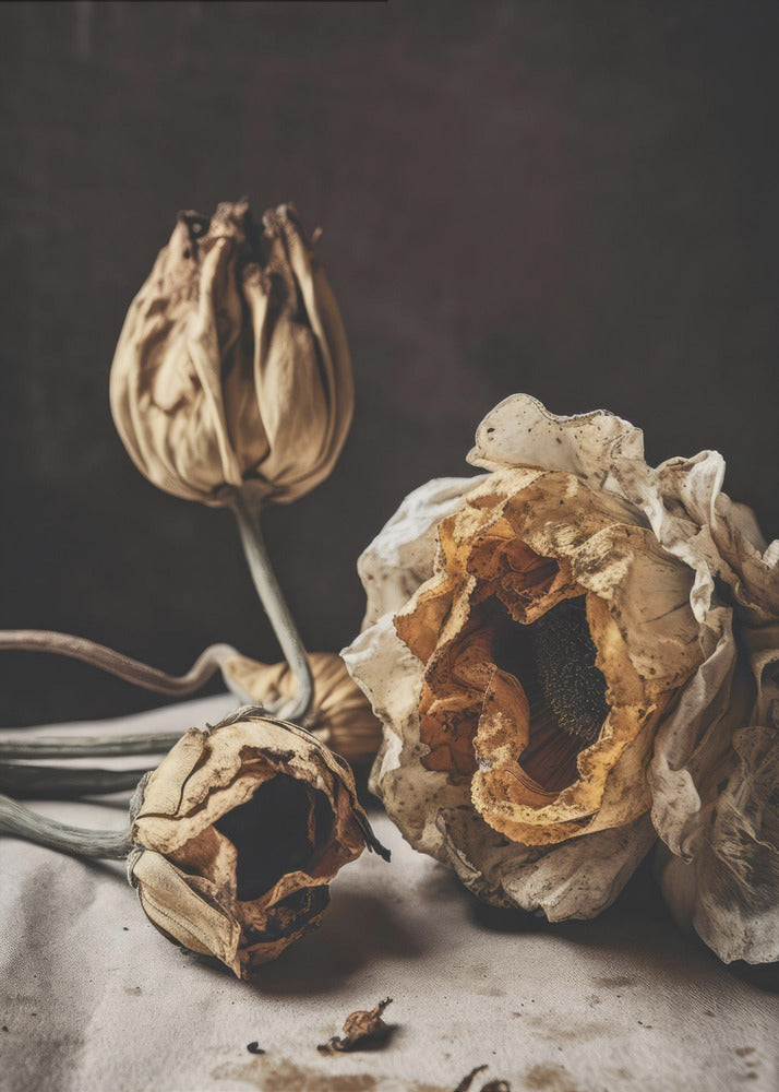 Gefluister van verval | Canvas