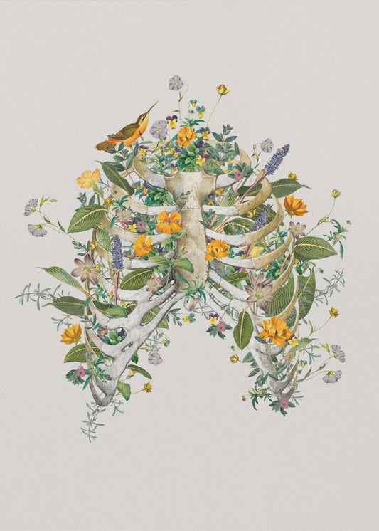 Floral thorax | Poster