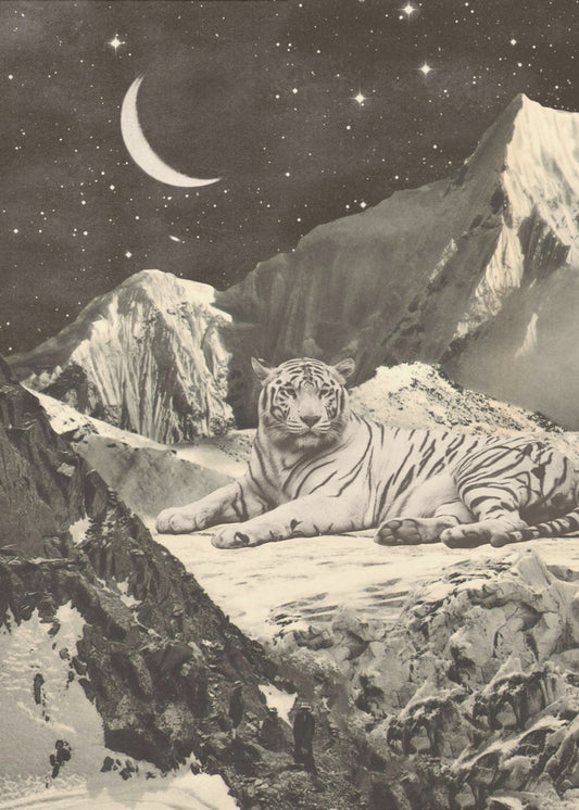 Reuzenwitte tijger | Poster