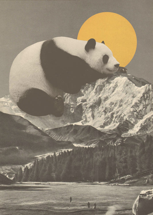 Reuzenpanda slaapt | Poster
